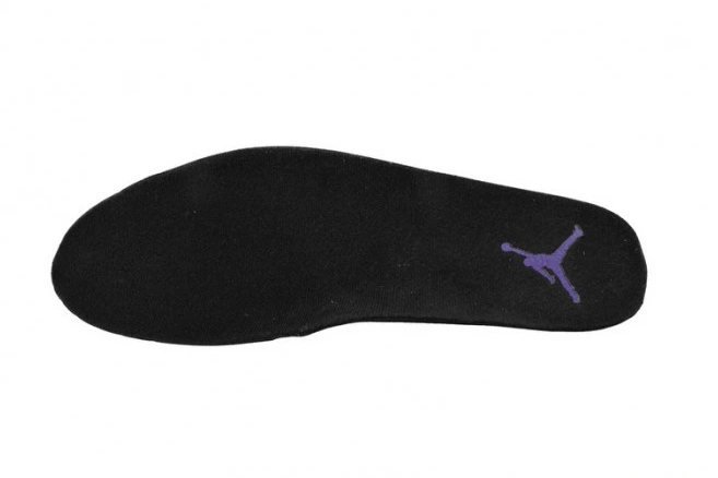 Rep TBK CT8013-057 Retro 12 Field Purple Jordan Air 0729